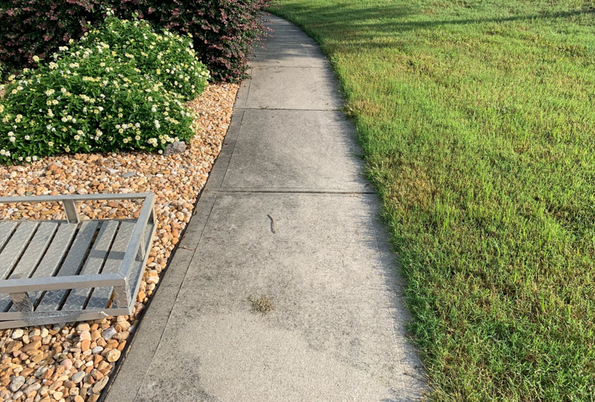 Sidewalk cleaning before